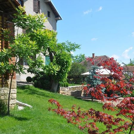 Guesthouse Djuric Неготин Экстерьер фото