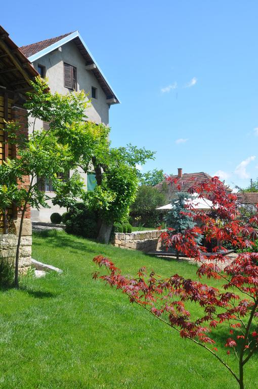 Guesthouse Djuric Неготин Экстерьер фото